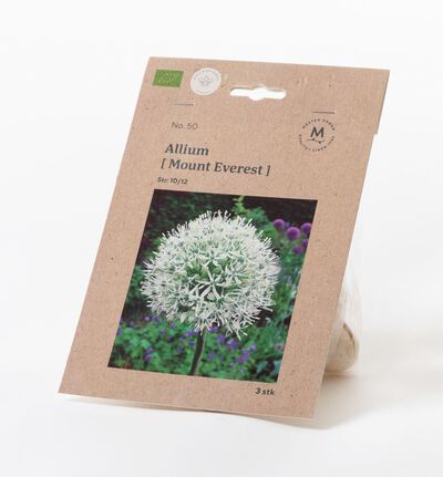 Allium Mount Everest høstløk